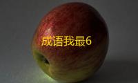 成语我最6